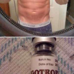 rocco0218