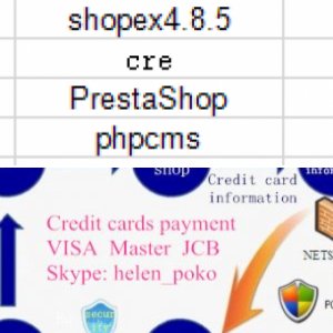 third party credit cards payment