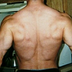 Back, before I bulked