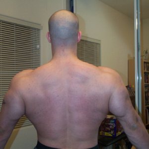 December: Back shot