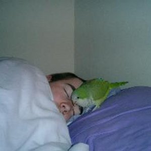 sleep