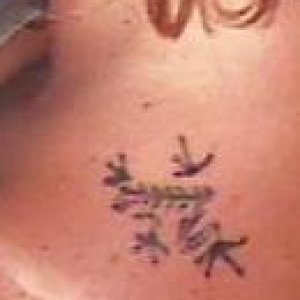 Frog tat