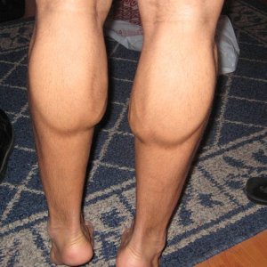 calves