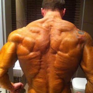 back defined
