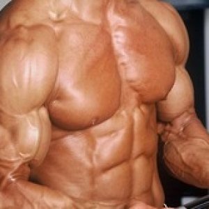 bicep development