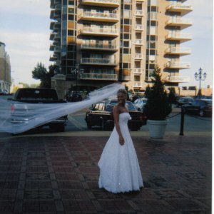 windy