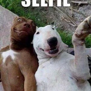 Selfie