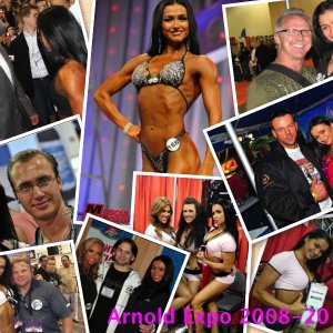 Arnold Expo