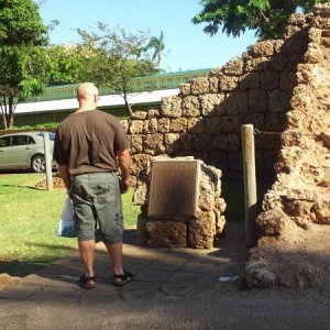 Gorilla sighting in Lahaina.