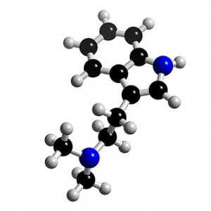 http://en.wikipedia.org/wiki/Precognition