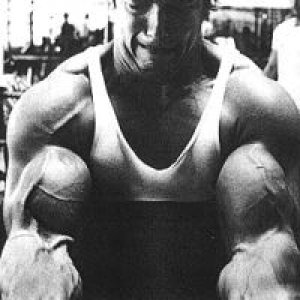 Arnold doing some heave ScottCurls