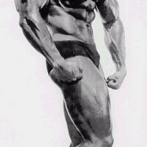 Arnold "The Austrian Oak" Schwarzenegger