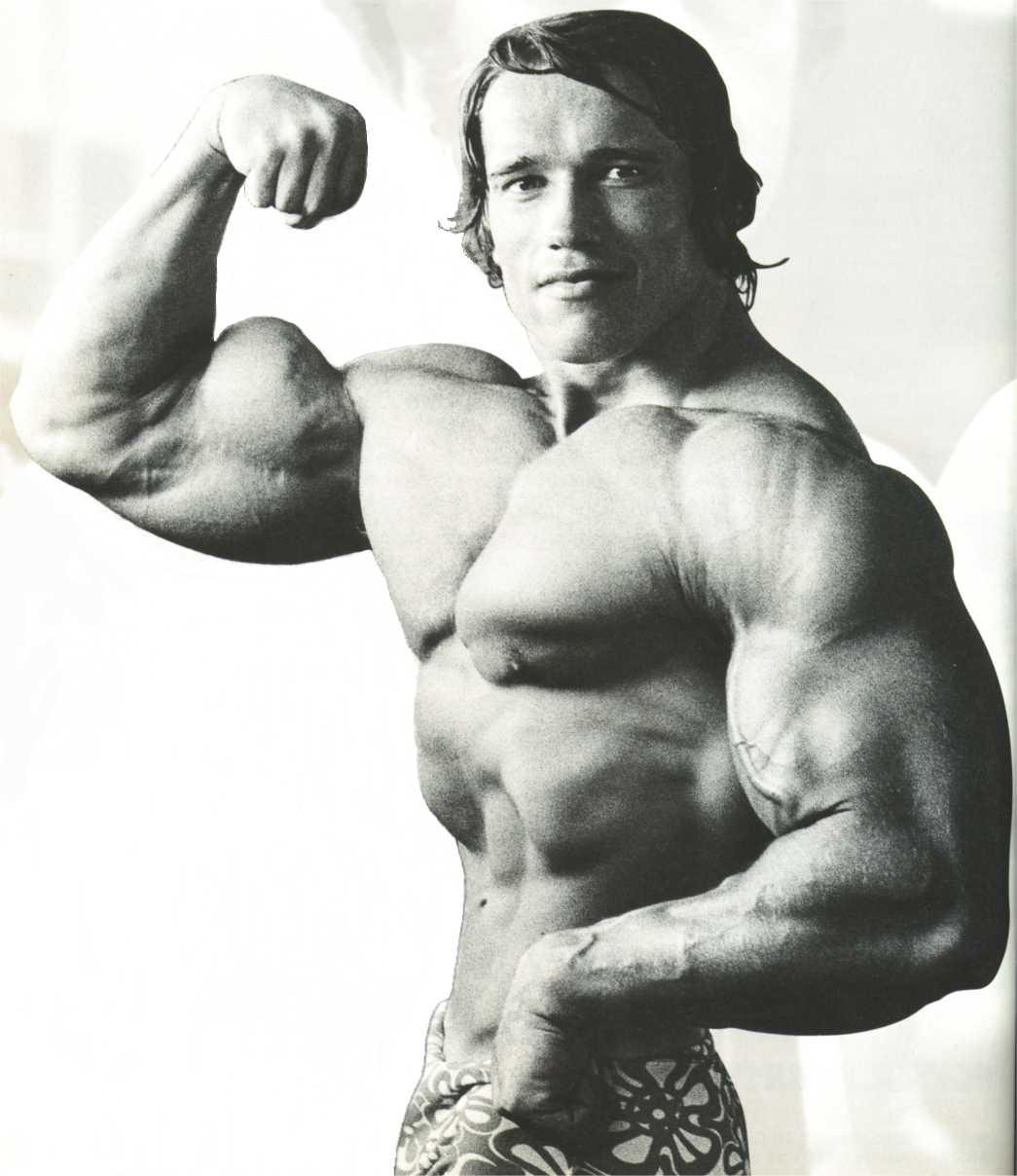 Arnold &quot;The Austrian Oak&quot; Schwarzenegger