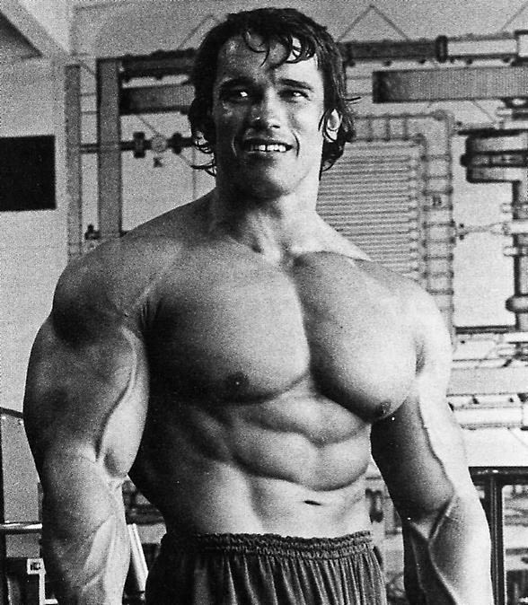Arnold "The Austrian Oak" Schwarzenegger