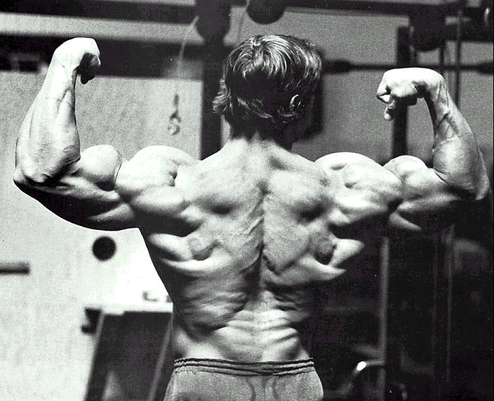 Arnold "The Austrian Oak" Schwarzenegger
