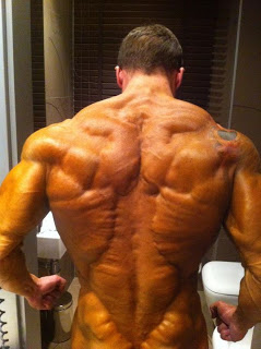 back defined