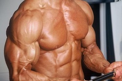 bicep development