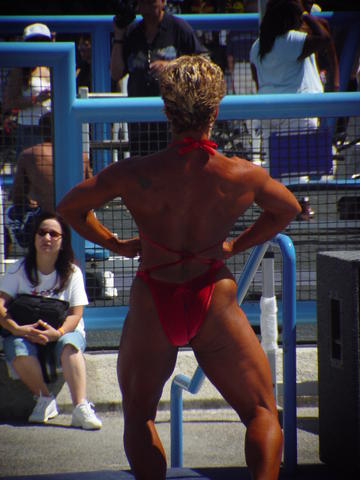 femalemuscle  (shellie) pics