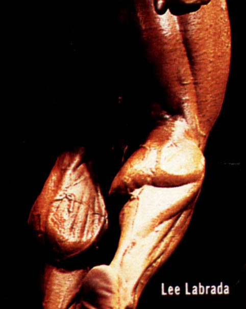 Lee Labrada