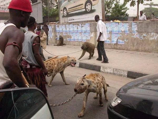 nigerian hood