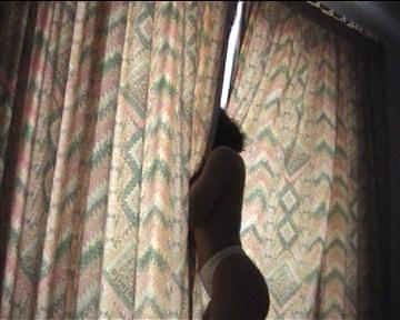 Peek a boo