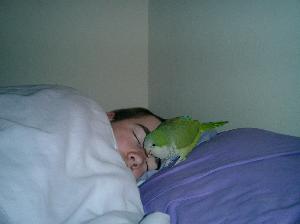 sleep