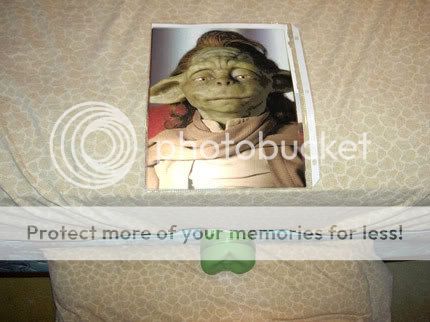 fl-yoda.jpg