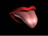 pics_animated-licking-tongue.gif