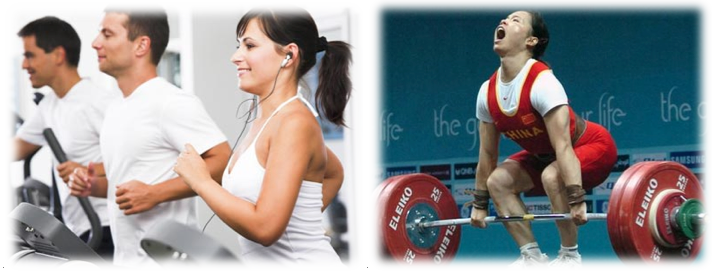 exercise vs training
