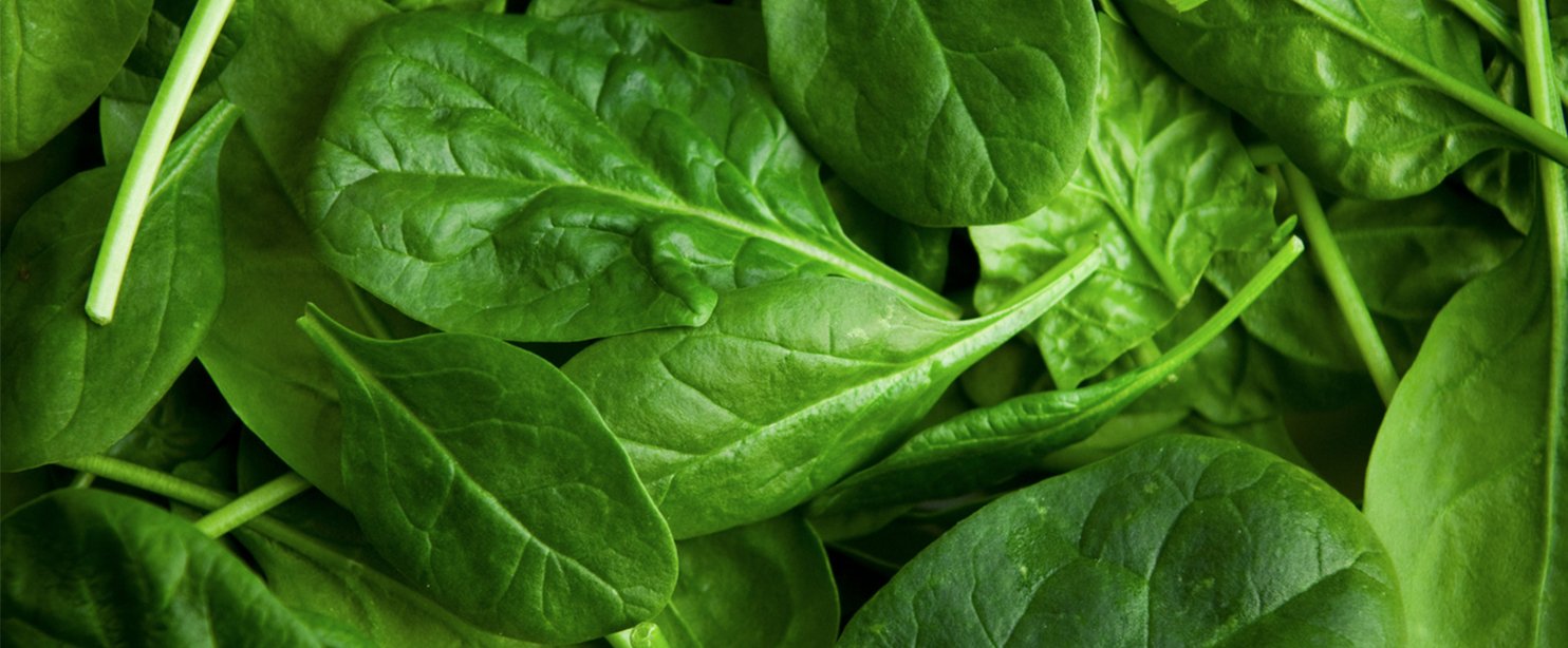 spinach.jpg