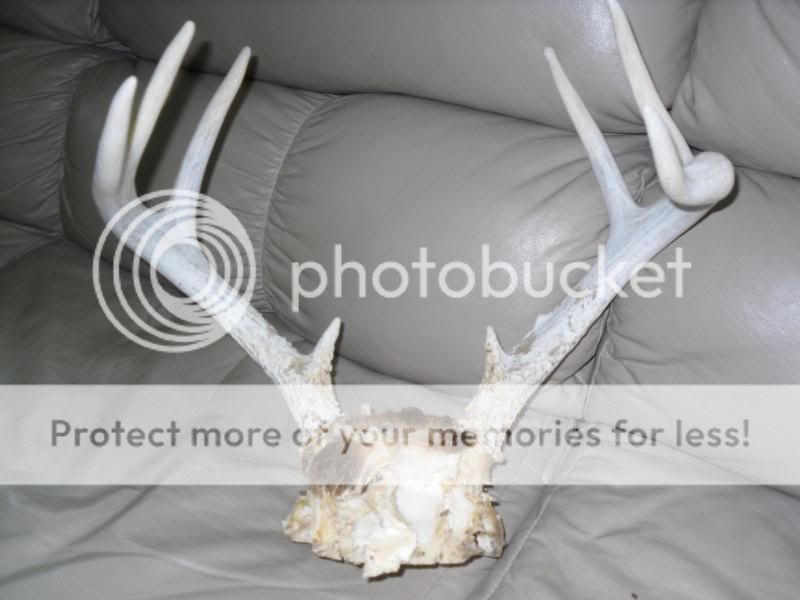 remount077.jpg