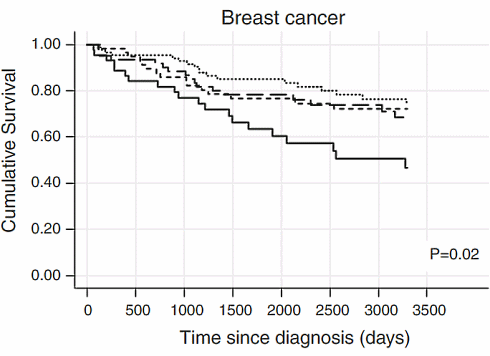 High vitamin D level multiplies survival chances of cancer patients