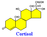 image007-49.png