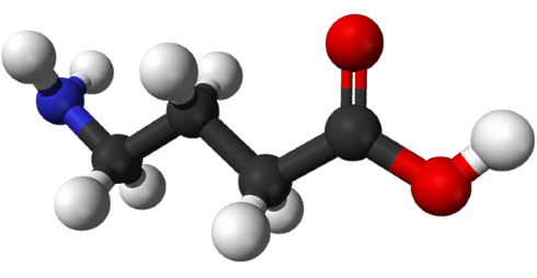 Surviving covid thanks to GABA supplementation
