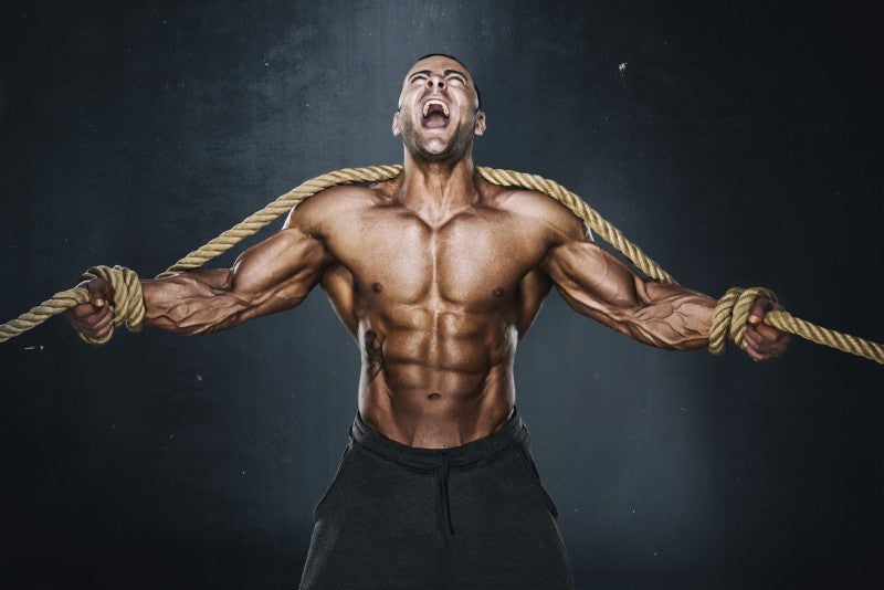 Freaky Ripped