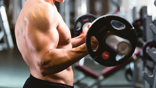 Barbell Curl