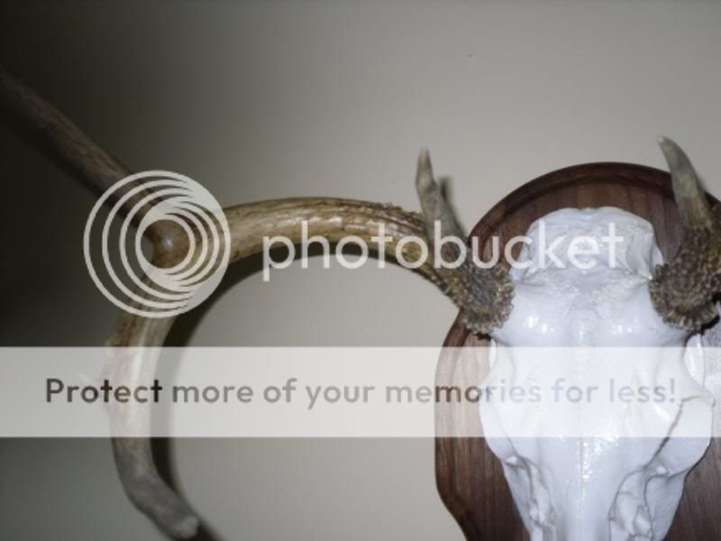 remount088.jpg