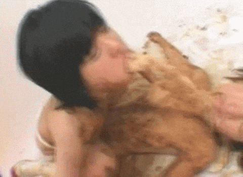 tumblr_lgq807qt5O1qgvi6uo1_500.gif