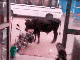 Xvia7E3.gif