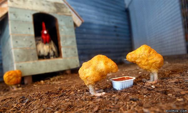 Lil_Chix_Nuggets.jpg