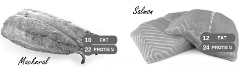 the-carnivore-diet-pic.jpg