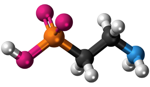 Taurine's mechanism of action revealed