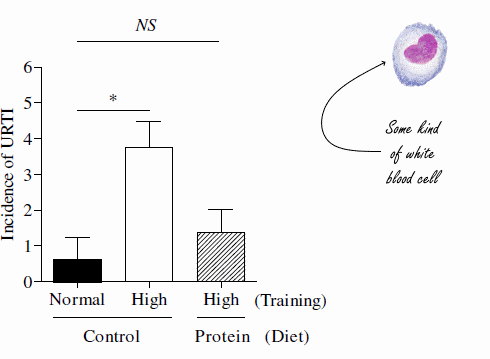 immune-cells-protein-diet-exercise-3.gif