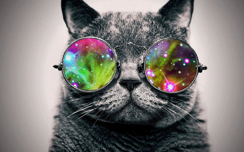 tumblr_n1w4qt2XpL1t69g6xo1_500.gif