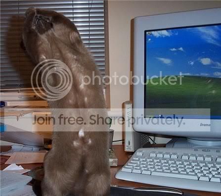 1264800107413.jpg