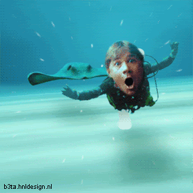 stingray.gif