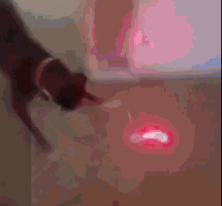 QZZHrIT.gif