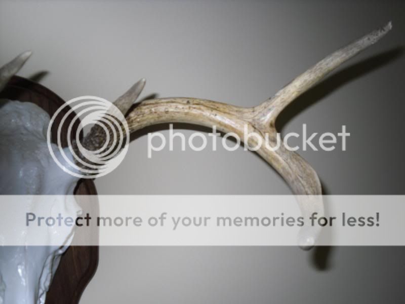remount087.jpg