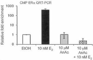 anacardicacidestradiol.gif