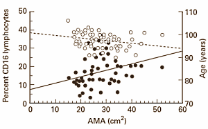 musclemassimmunesystem.gif